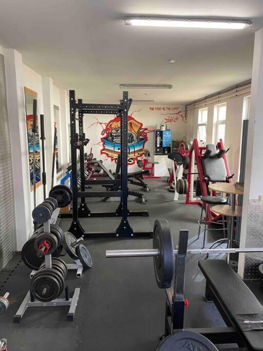 Ferienwohnung Mit Fitnessstudio Top1 플라우엔 외부 사진