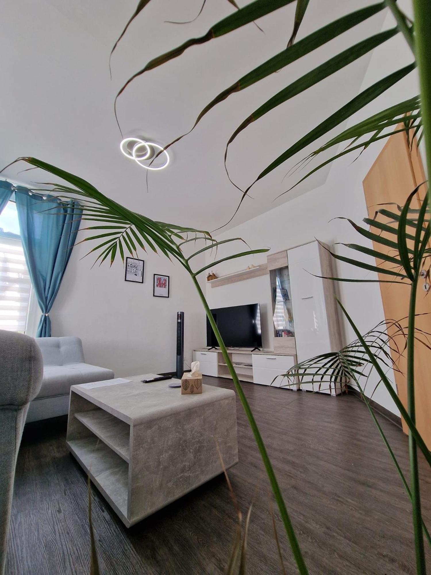 Ferienwohnung Mit Fitnessstudio Top1 플라우엔 외부 사진